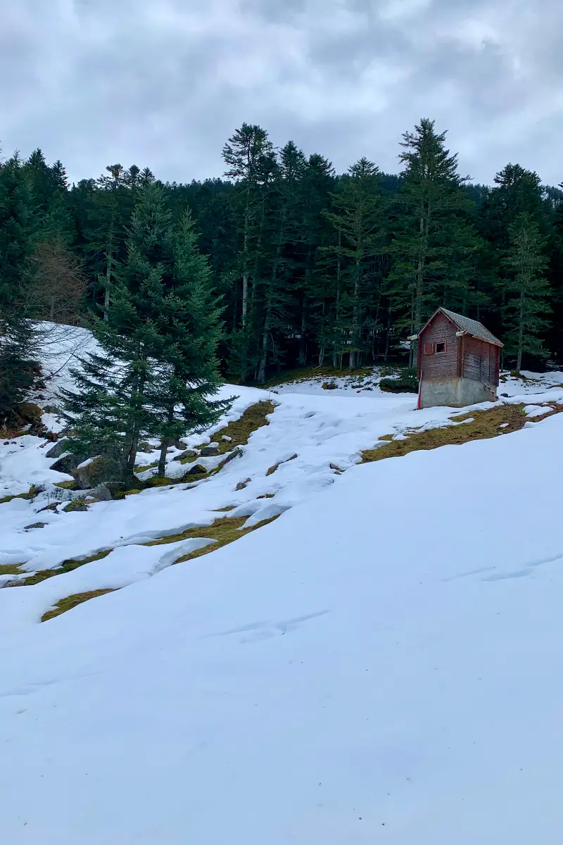 cabane dans la neige