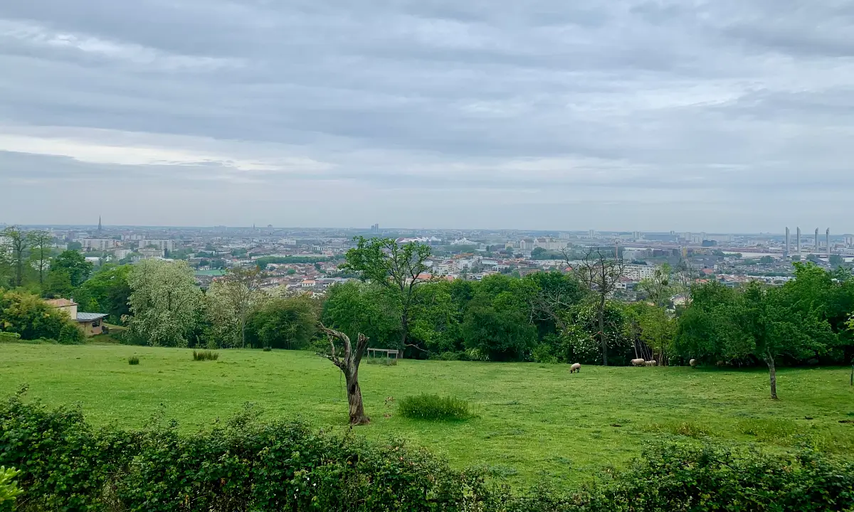 vue panoramique sur Bordeaux