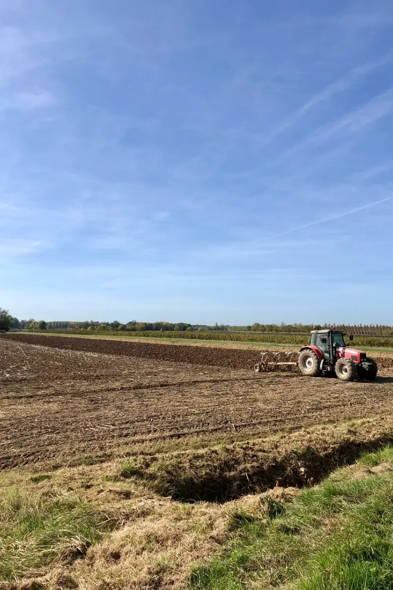 tracteur dans un champ