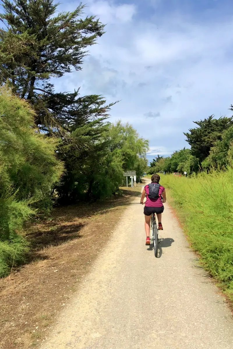 Vélo sur la piste cyclable de l'île d'Oléron